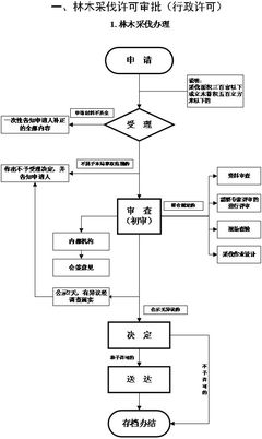 林木采伐许可核发_东宝区公众信息网