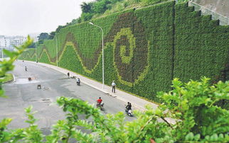 好大一面绿化墙