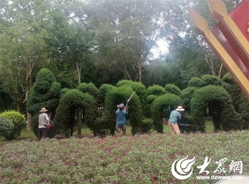 烟台园林 秋意浓时绿化忙 精心养护焕新装